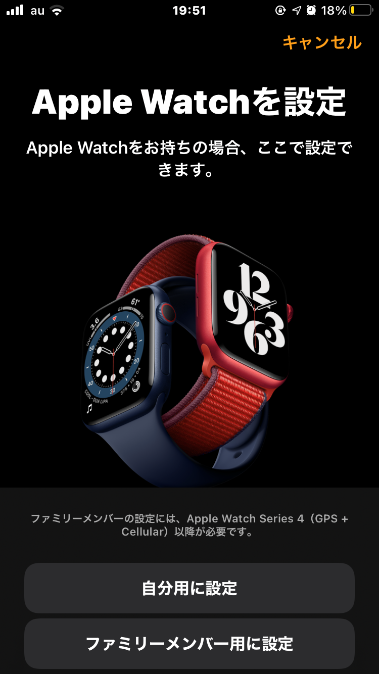 学校でスマホ禁止だけどApple Watch Series 6を買って3ヶ月経ったので感想を書く | turu64のひまな時＆メモ用ブログ