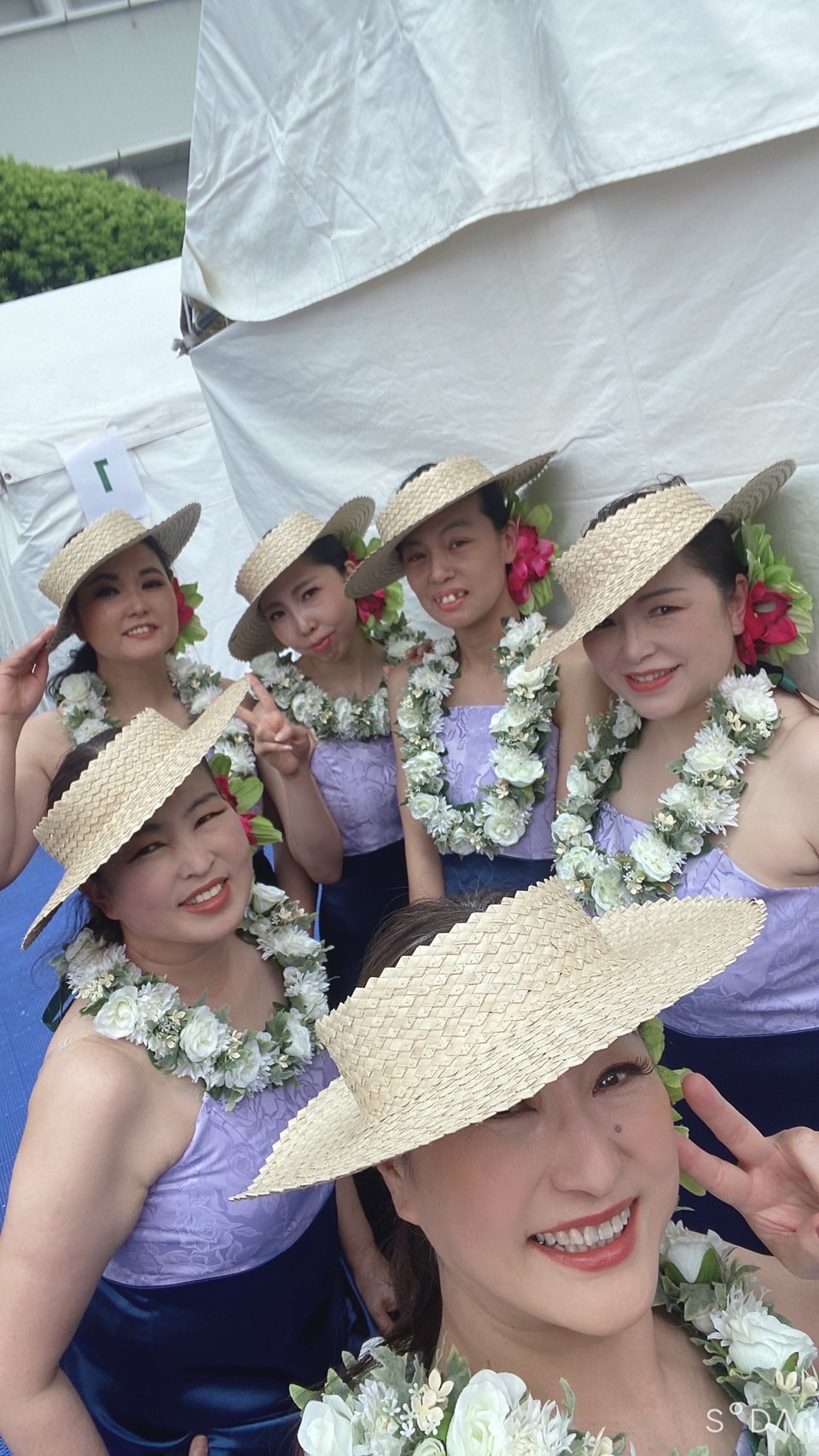 Lesson & Fee (Nā haumāna) | Hālau Mālamalama フラ教室|三重県鈴鹿市