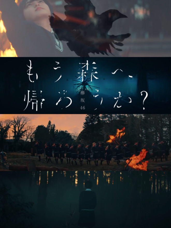 もう森へ帰ろうか 壁紙 みぃたの欅坂 ブログ