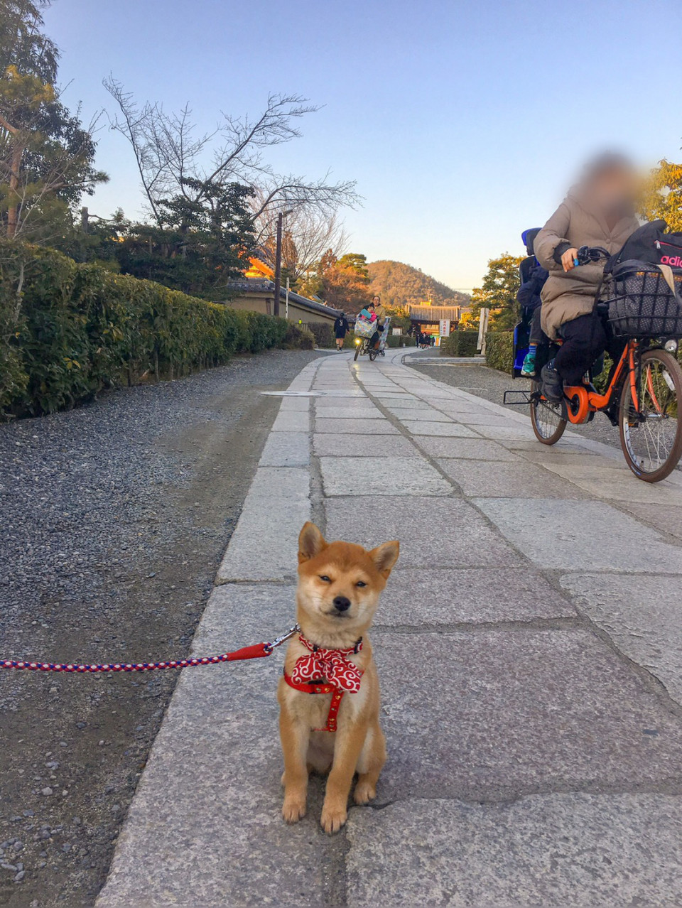 京都 妙心寺に花まる学習会開校 花まる学習会 関西