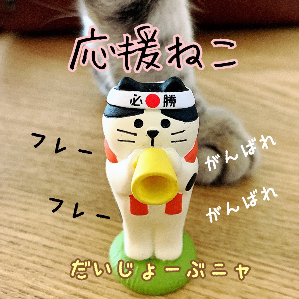 応援してます ねこのシータ