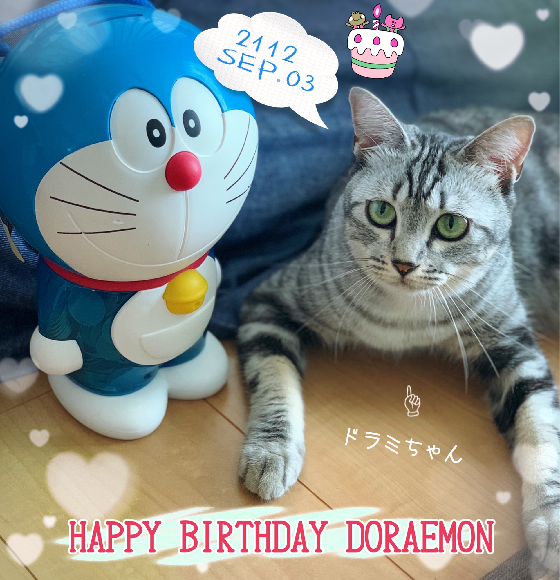 おめでとうドラえもん ねこのシータ