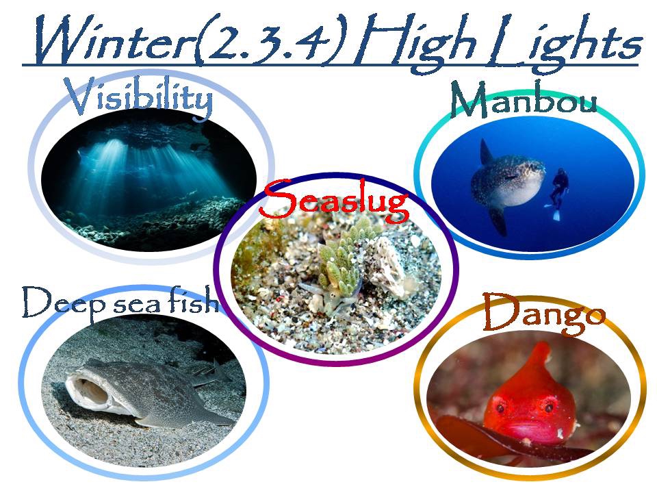 今のみどころはズバリ！ EARTH SOUND 東京都練馬区ダイビングショップ アースサウンド｜ライセンス取得ならお任せ！