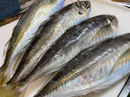 ブランドになってない鯵 佐用町 あべ鮮魚 ブランドになってない鯵 佐用町 あべ鮮魚