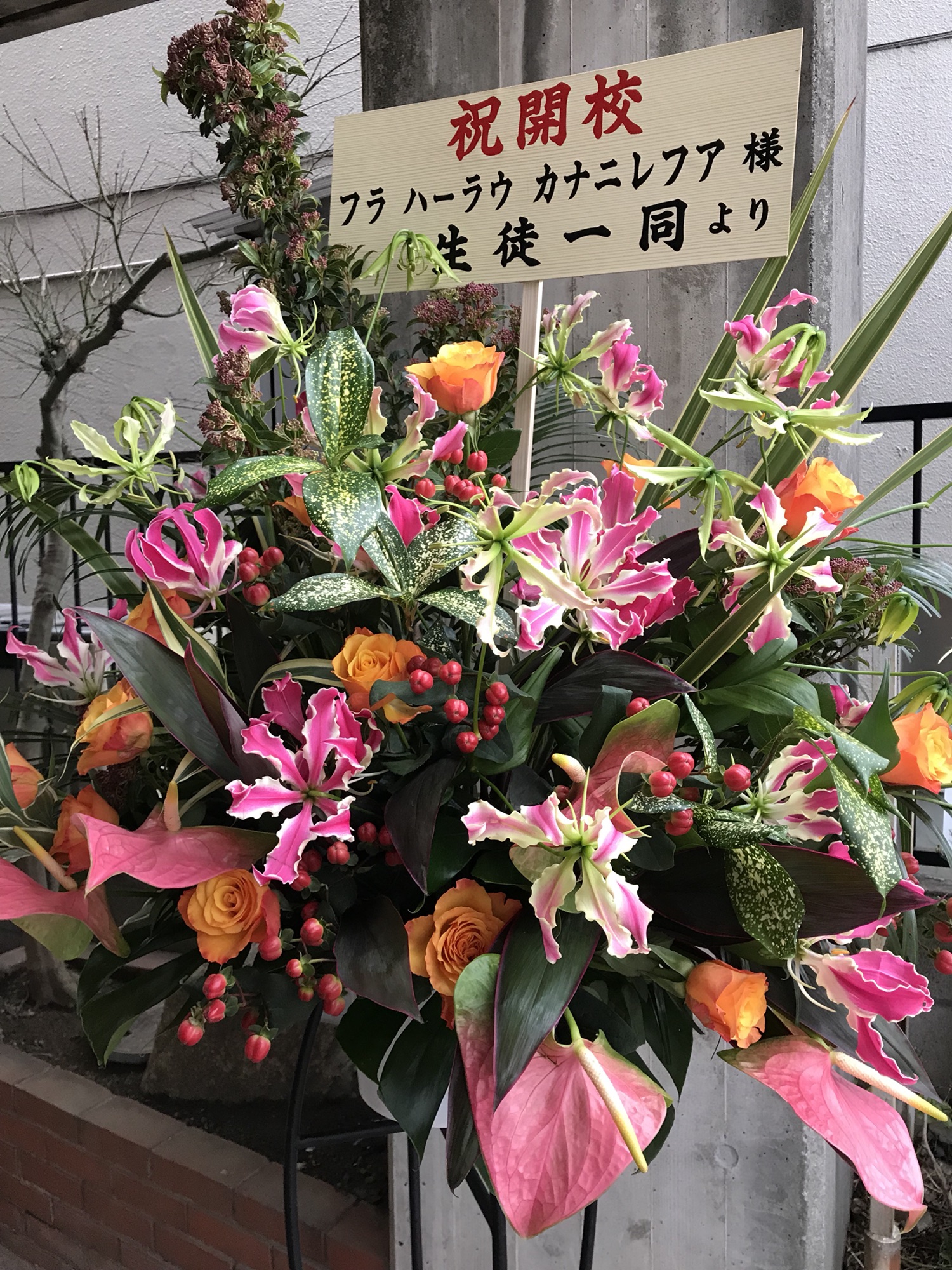 ae2b5e8ac8253c4a3643e284808b75