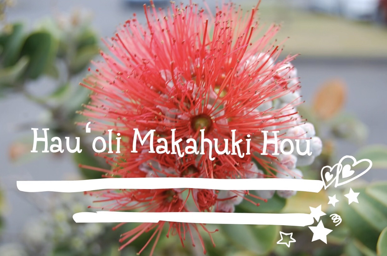 How do you say happy new year in hawaiian language