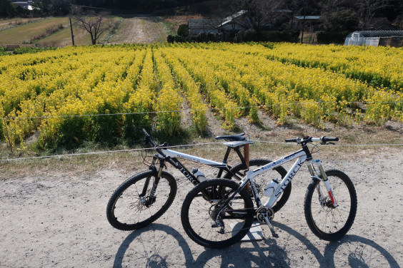 初心者におすすめのマウンテンバイクコースのご案内 Kamihagi Cycle