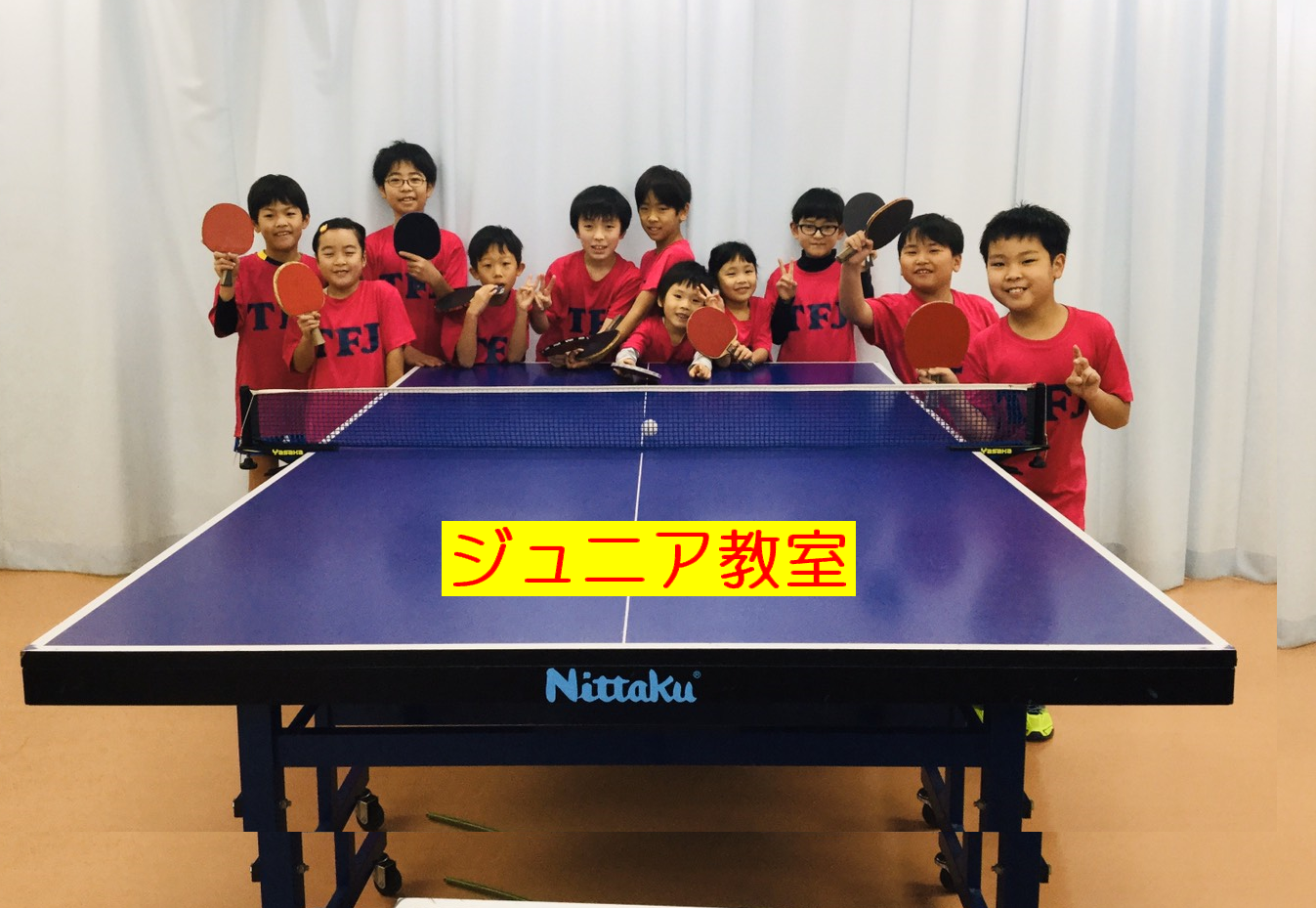 チャンピオンスポーツ教室 卓球教室1週間 ジュニア・一般向け 卓球教室」会員募集 | 大東市卓球場 TFJ卓球教室
