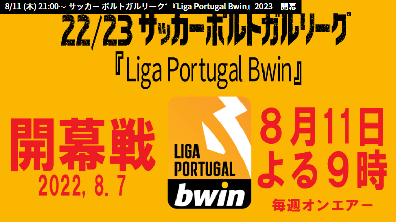 追記あり Dfbポカール ポルトガルリーグの来季情報 放映権事情を妄想しながらスポーツ中継を楽しむ