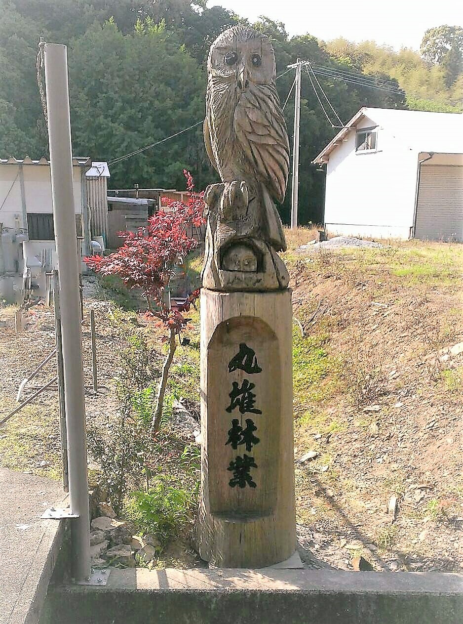 株式会社丸雄林業