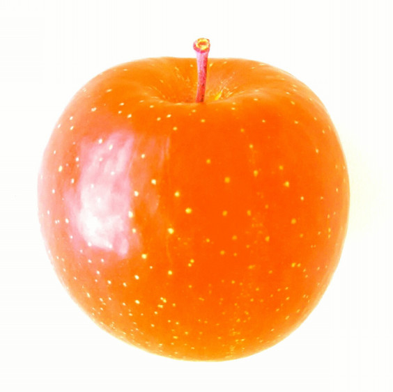 オレンジ色のリンゴを選んだ人は 色とストレスの関係