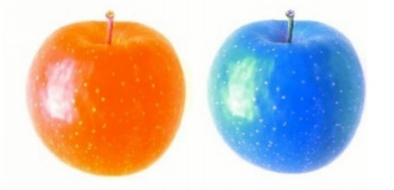 オレンジ色と青を選んだ人の傾向 色とストレスの関係