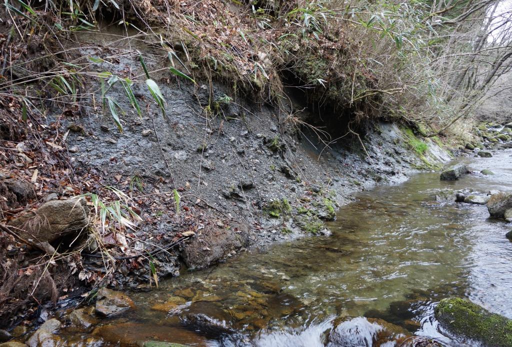 200418 玉川層カキ化石礁を確認～野田村泉沢川 | 北三陸geo-history