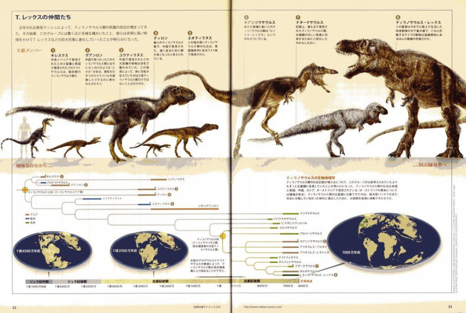 190419 白亜紀後期国内初！獣脚類恐竜・ティラノサウルス類の歯を発見 