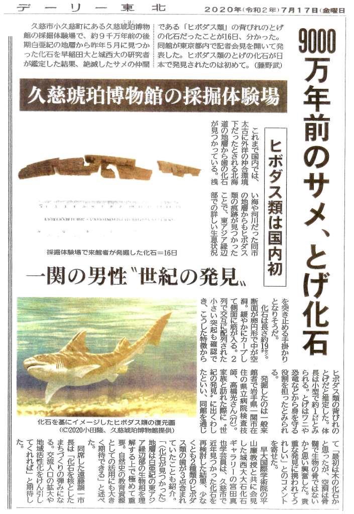 絶滅した約9000万年前の古代サメ「ヒボダス類」と鑑定！ | 北三陸geo