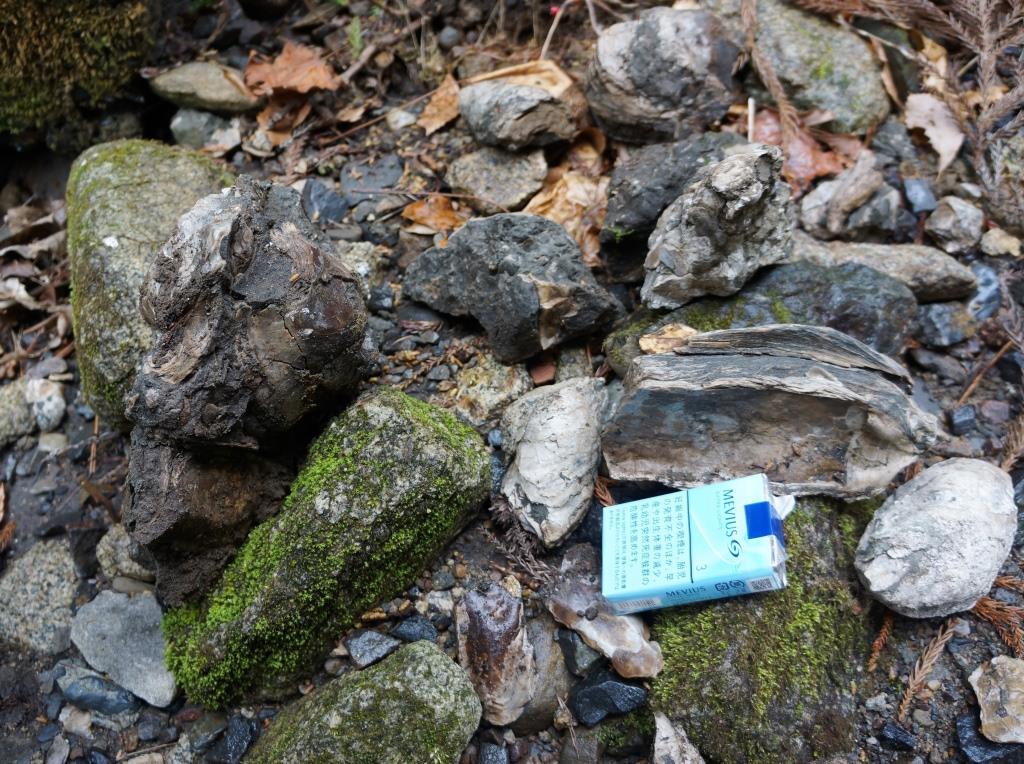 200418 玉川層カキ化石礁を確認～野田村泉沢川 | 北三陸geo-history