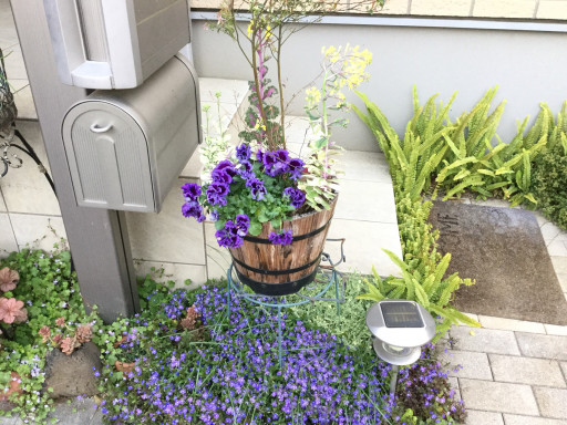 植え込み 花 寄せ植え 樹里庵