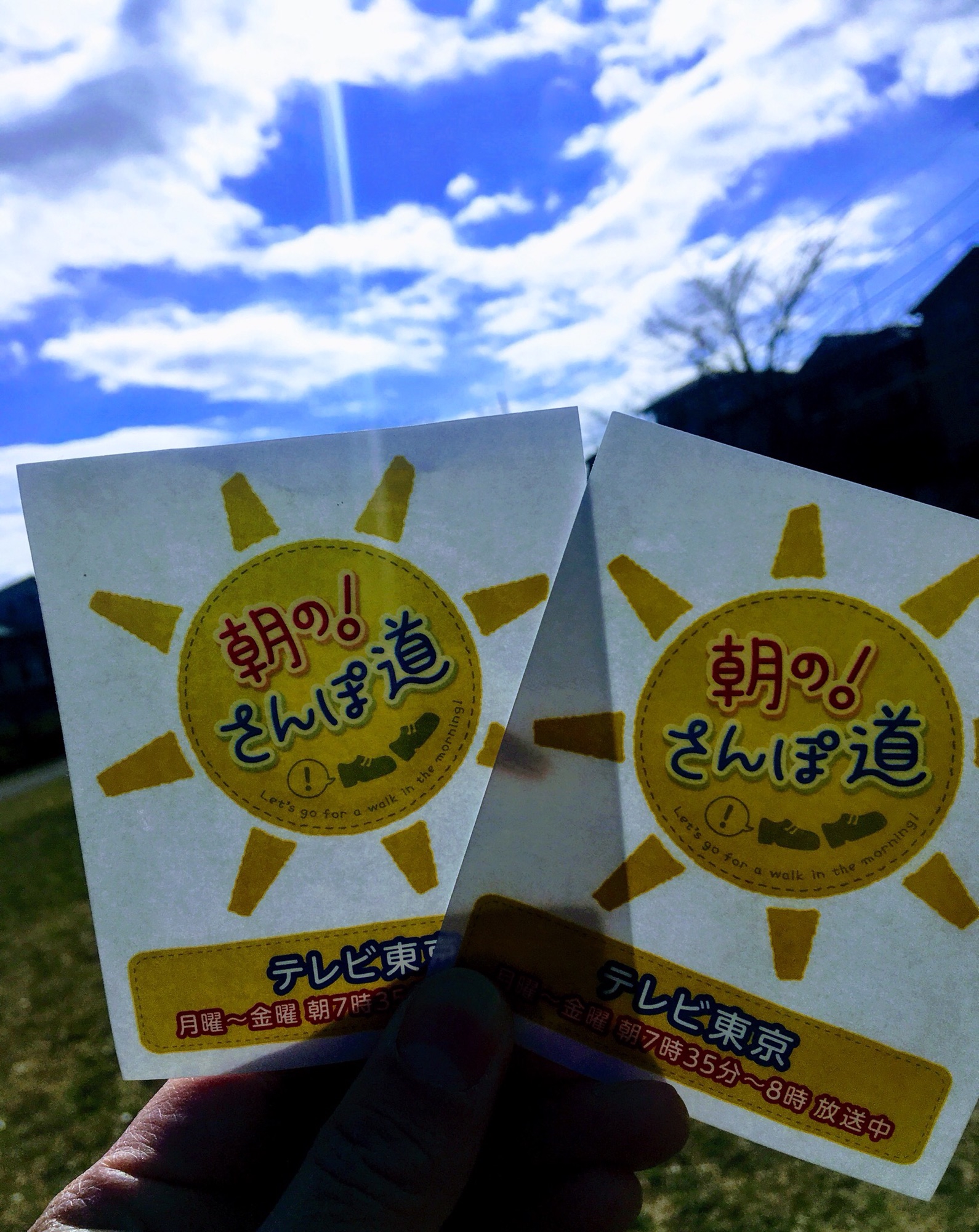 メディア情報 テレビ東京 金曜朝7時35分放送 Tiramisu Home Made