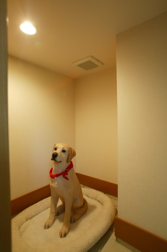 Kurashiをたのしむvol 8 折り合いをつけると犬との暮らしはもっと快適に リフォマガ Kurashiをたのしむvol 8 折り合いをつけると犬との暮らしはもっと快適に リフォマガ