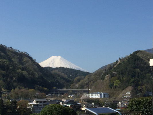 くるみ市 Ma Am Shonan