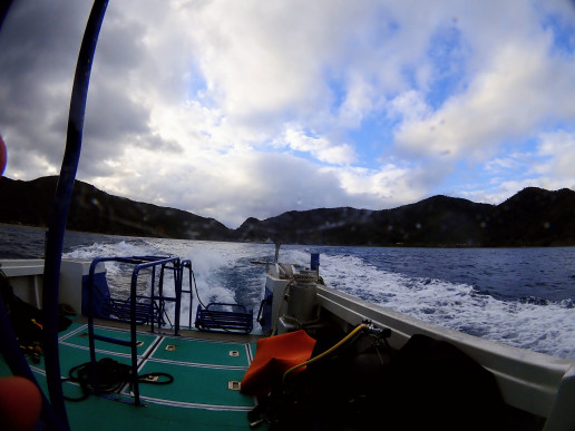 加計呂麻島ツアー 3日目 Dive Base Cafe 海の家 Uminoya 加計呂麻島ツアー 3日目 Dive Base Cafe 海の家 Uminoya