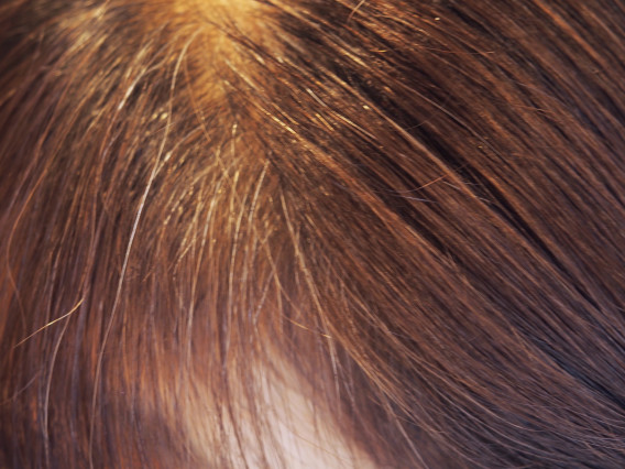 イルミナカラーで白髪染め Chic Hair Design