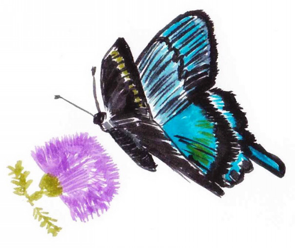美しい蝶が現れる夢 Fashion Source