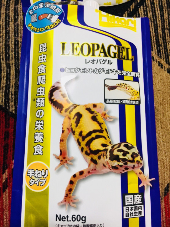レオパゲルに初挑戦 ちろのはちゅ生活
