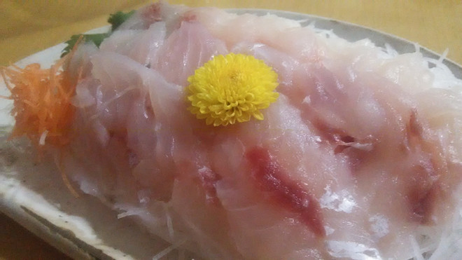 かますのお刺身 はいみょ S Ownd かますのお刺身 はいみょ S Ownd