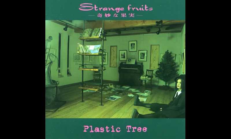 Plastic Tree / Strange fruits -奇妙な果実- | GALLERY OF