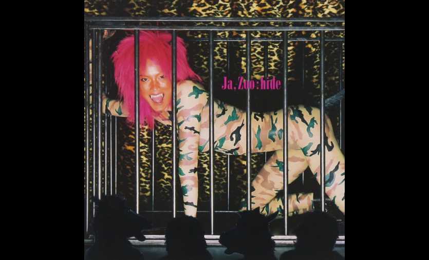 hide / Ja,Zoo | GALLERY OF VISUAL SHOCK