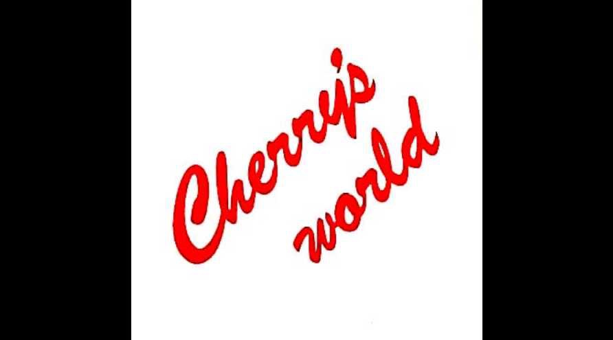 帯有 COLOR Cherry's world COLOR / Cherry's World | GALLERY OF VISUAL SHOCK