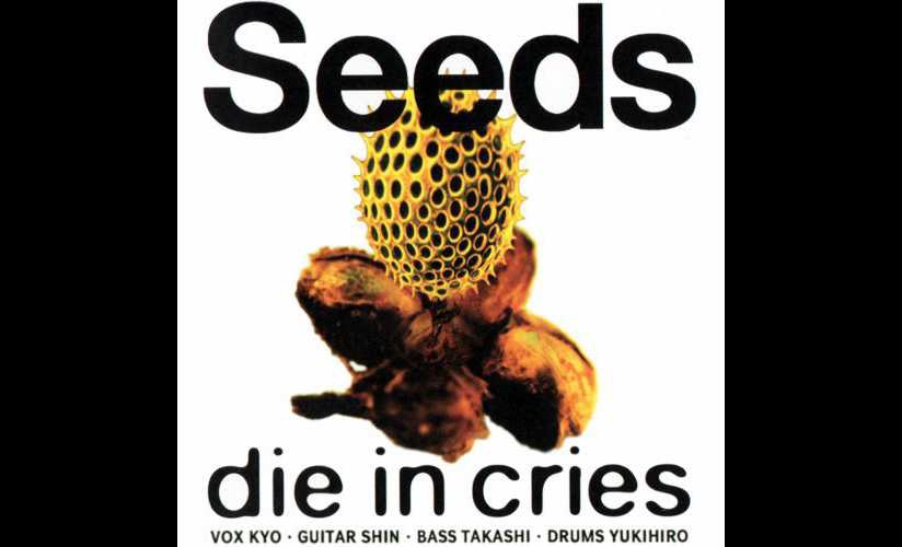 DIE IN CRIES | GALLERY OF VISUAL SHOCK DIE IN CRIES | GALLERY OF VISUAL SHOCK
