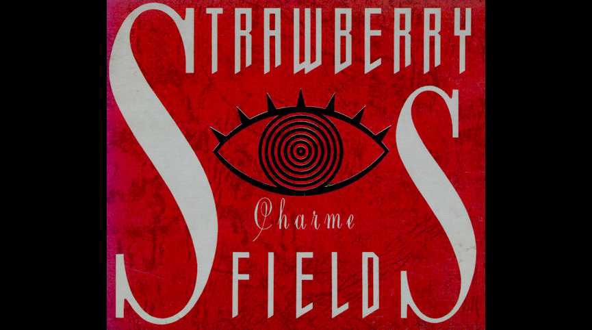 Strawberry Fields / Charme | GALLERY OF VISUAL SHOCK