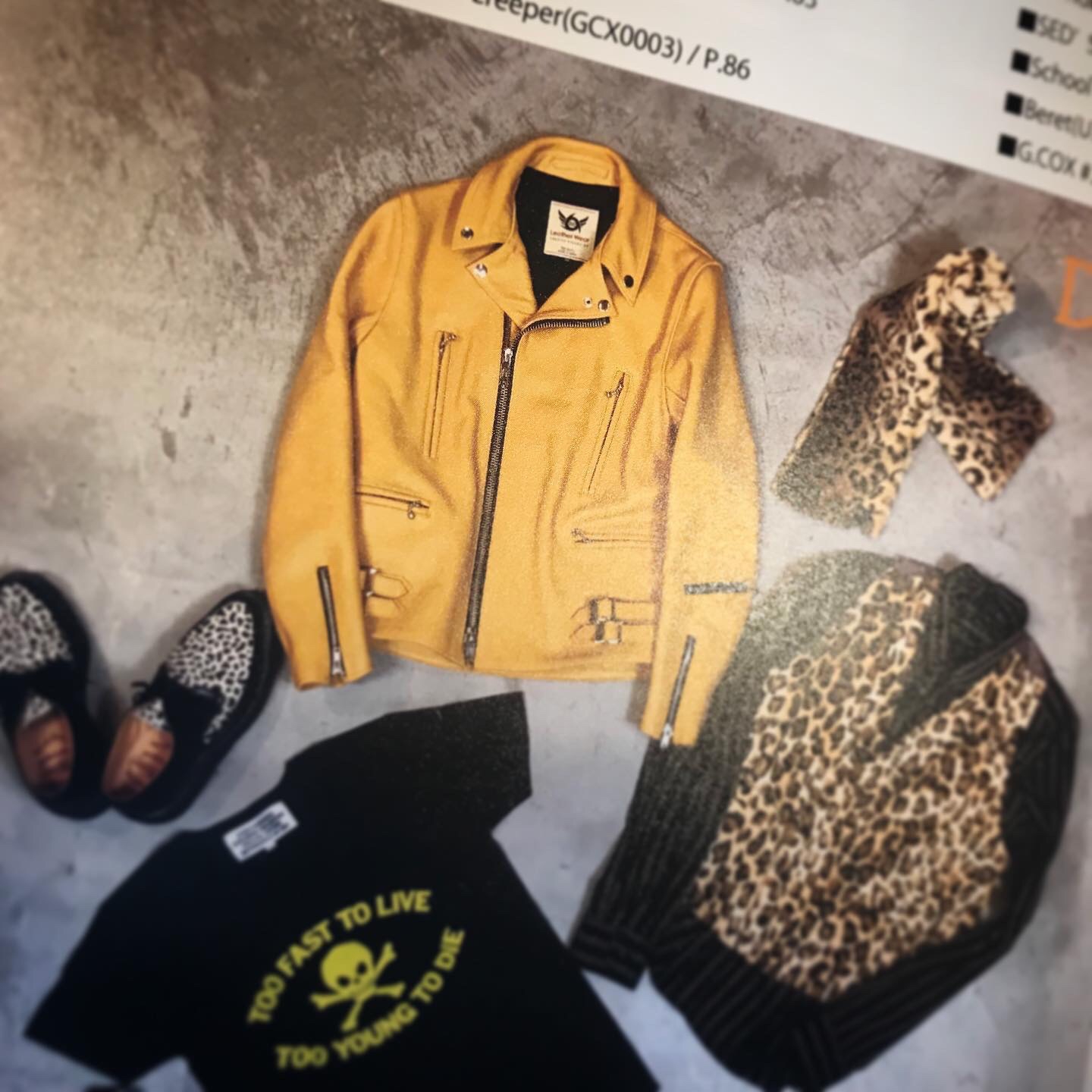 666秋冬カタログ入荷！ | SPEED SPUNKY 69