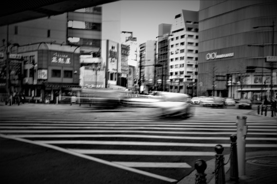 道 白黒の世界 私の写真の世界 感じるままに