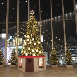 Googleanalytics 今日も今日とて島良一