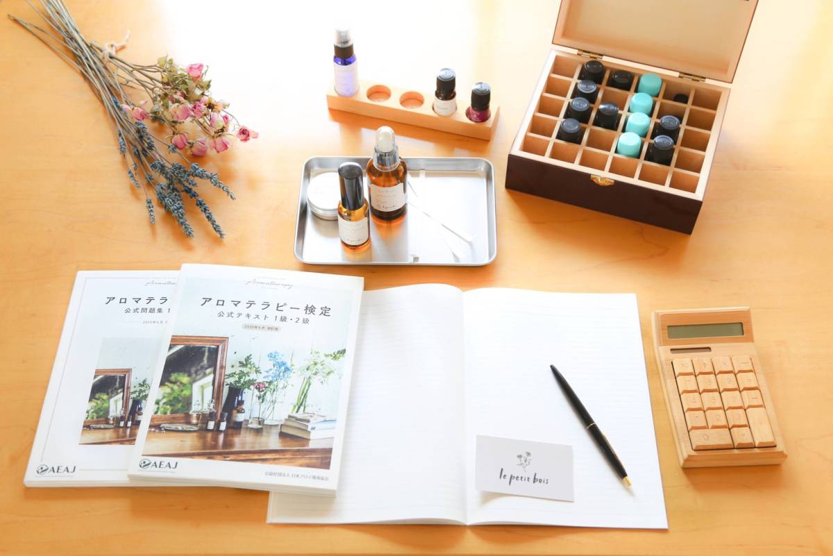 スクール 教室 Le Petit Bois プティボワ