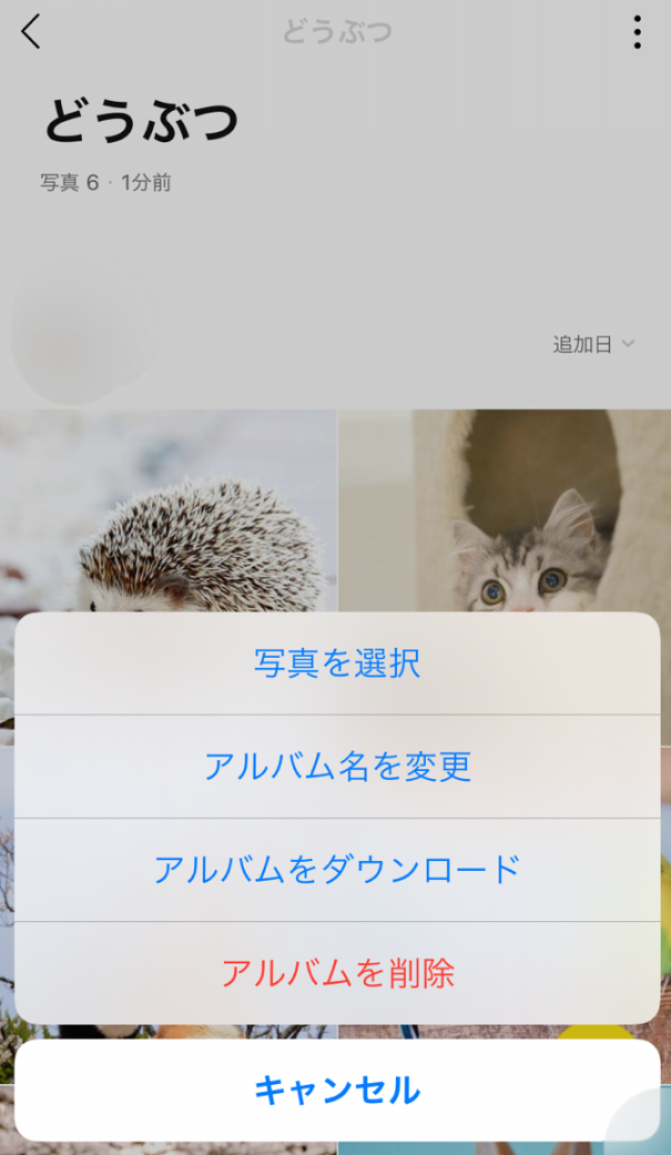 Lineのアルバムの写真をプリントしよう しまうまプリントブログ