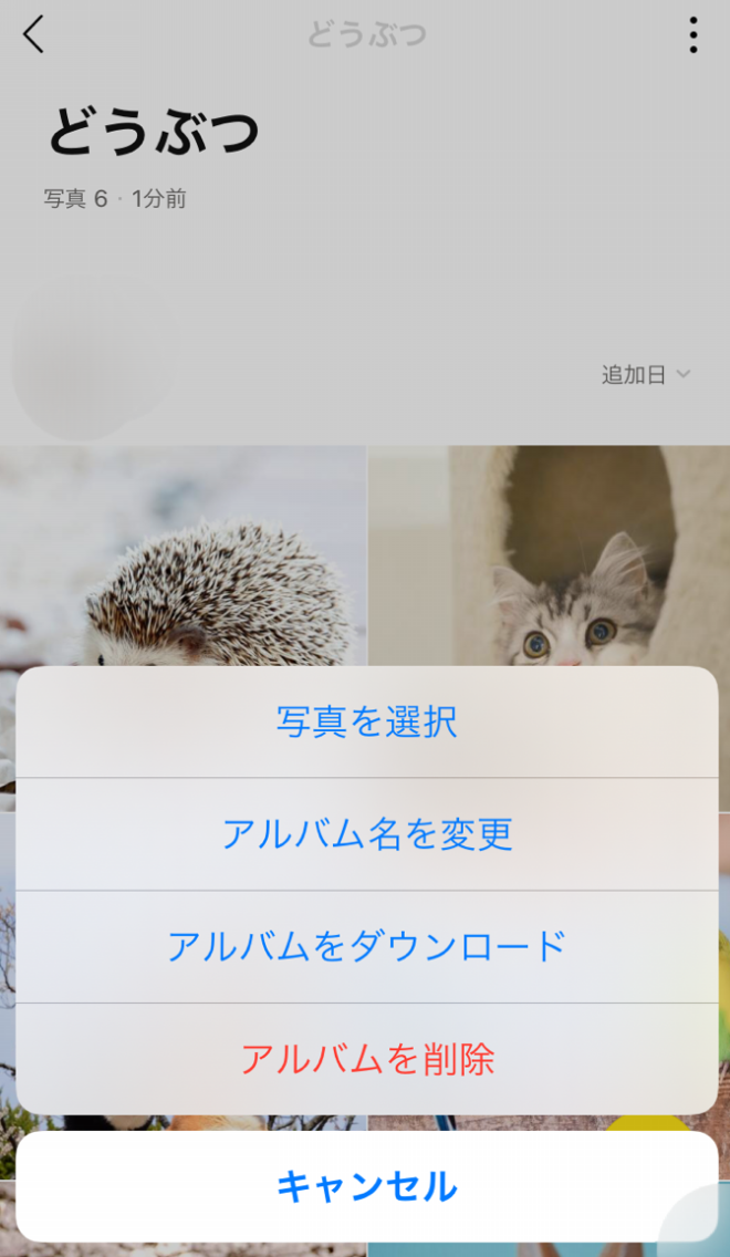 Lineのアルバムの写真をプリントしよう しまうまのブログ