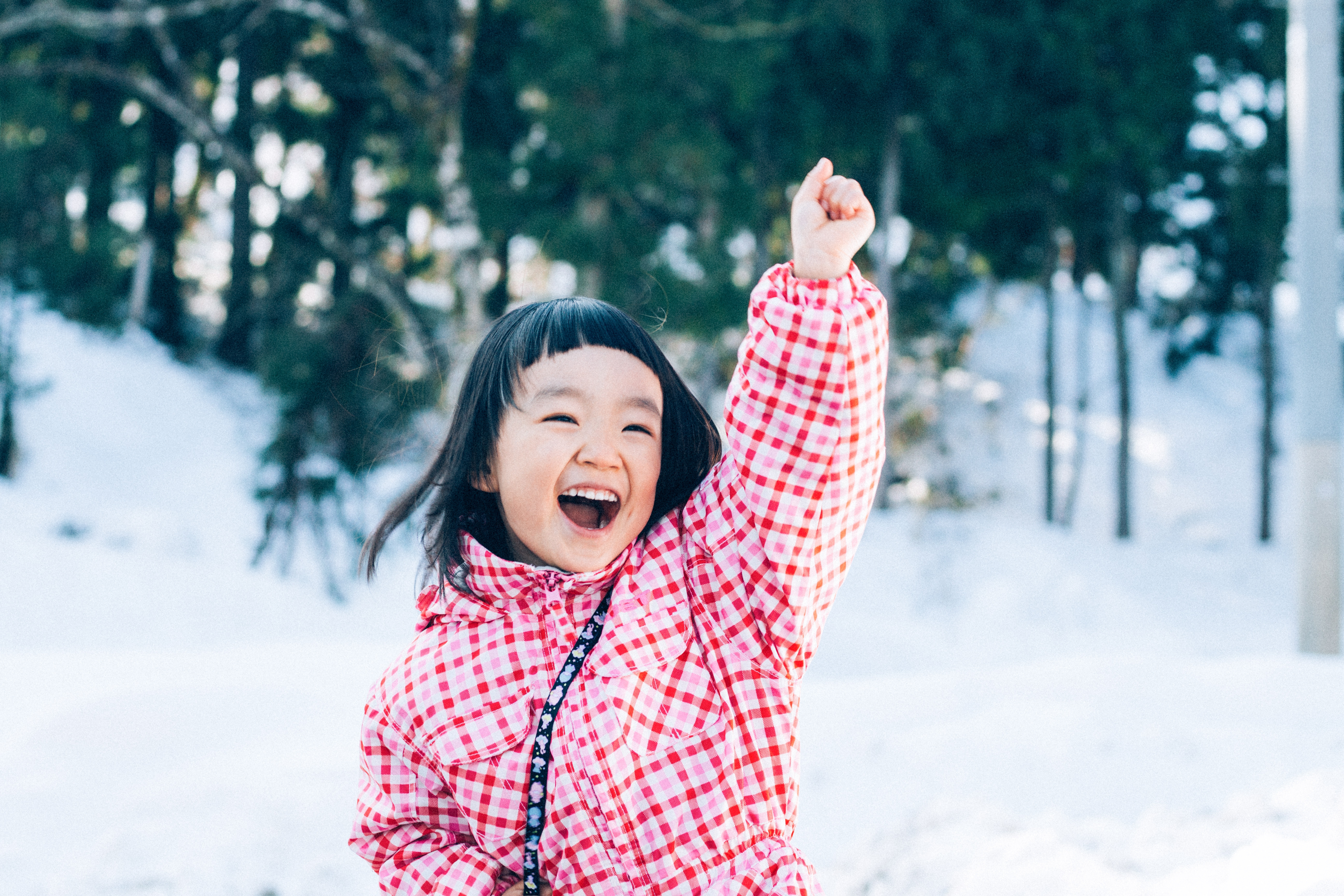 雪が積もった日に！みんなで！ スノージェニックな一枚を撮ってみよう！ | しまうまのブログ