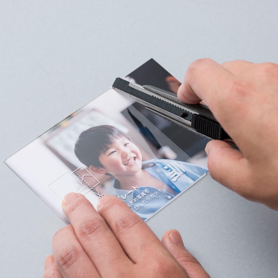 ましかくアルバム登場！ | しまうまのブログ