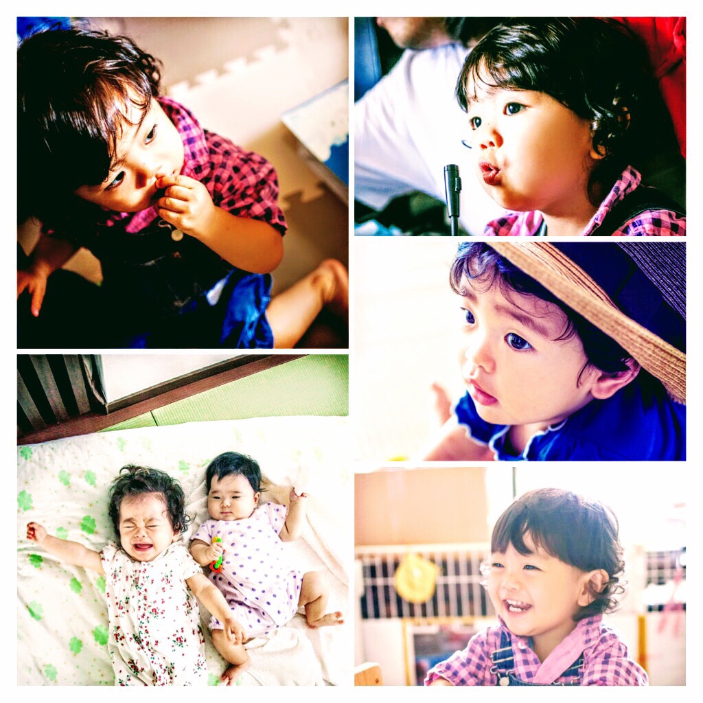 Googleフォトの機能を使ってみました しまうまのブログ