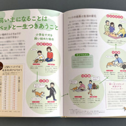 Animals 動物イラスト Keep On The Sunny Side