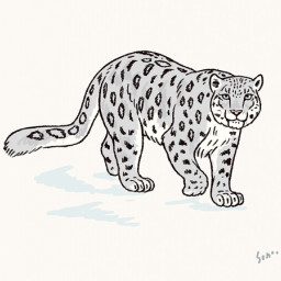 Animals 動物イラスト Keep On The Sunny Side Animals 動物イラスト Keep On The Sunny Side