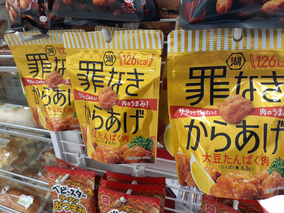 代替プロテインによる食品素材開発 | HIROSHI MIZUNO