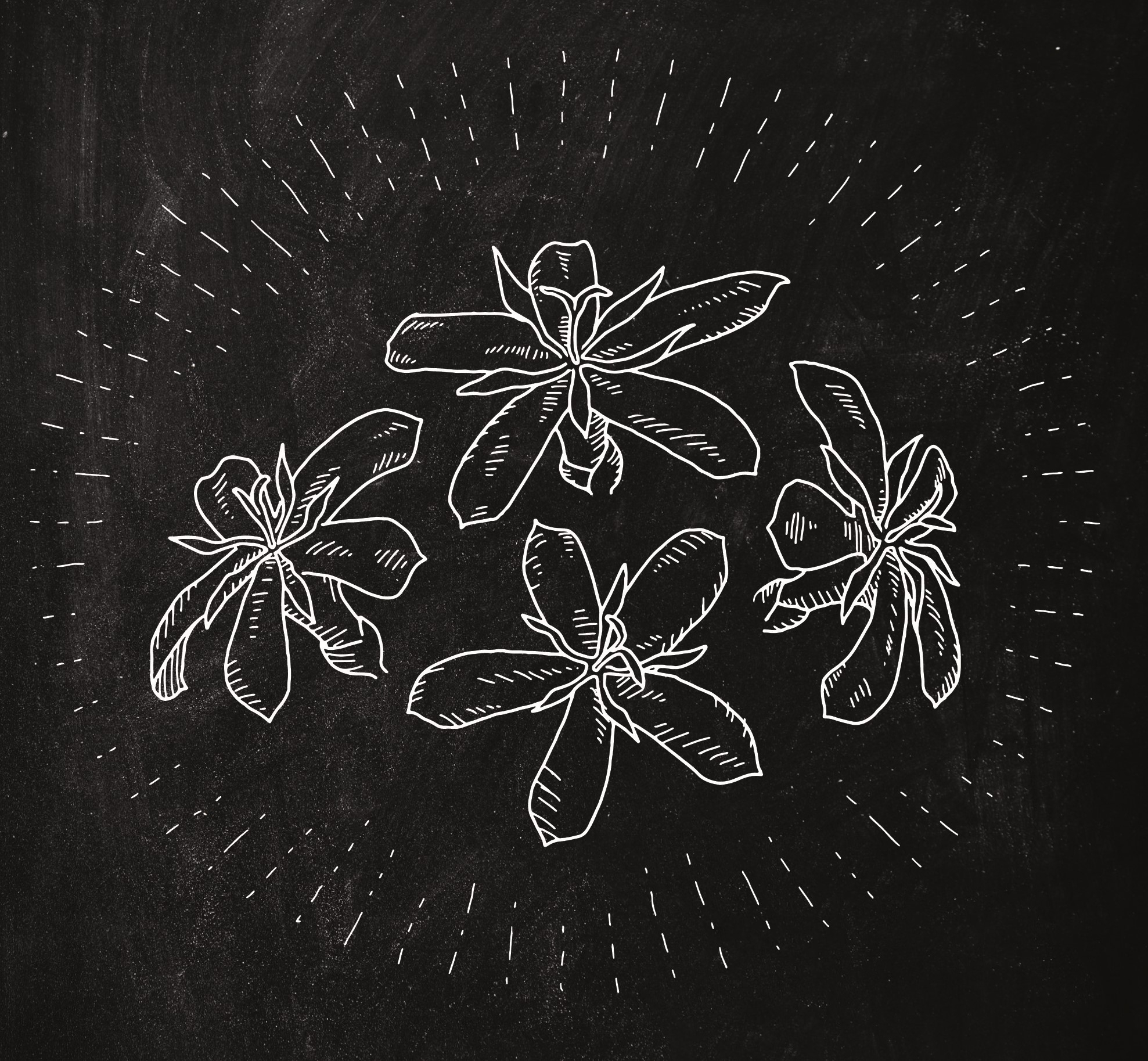 コーヒーストーリー vol.4 from 泉基樹 | Starbucks Coffee Japan