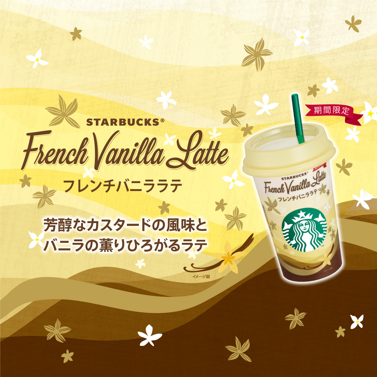 バニララテ様 さしかかり 