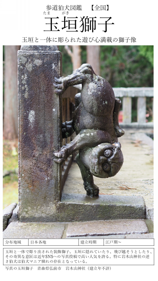 全国参道狛犬図鑑 | 狛犬千万無量