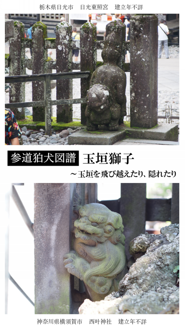 市原市のお米「コシヒカリ」30Kgとオマケで「つくね芋」1kg